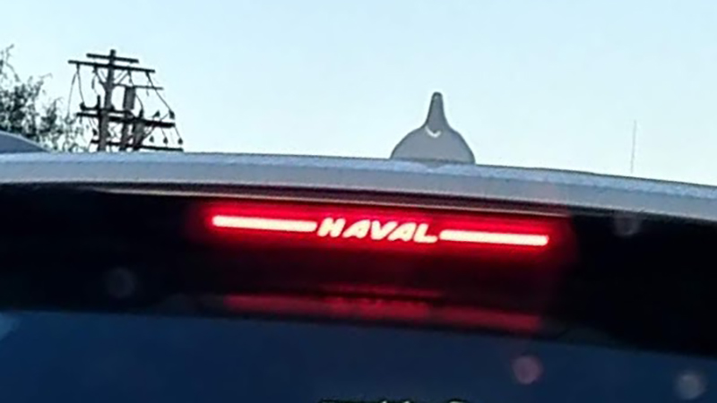LOOK AT THIS SHIT!